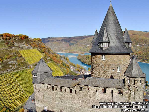 Weinberge bei Bacharach am Rhein mit Burg Stahleck